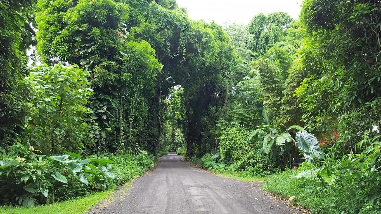Hale O Nani Mala Pua Home Pahoa 0*,  United States